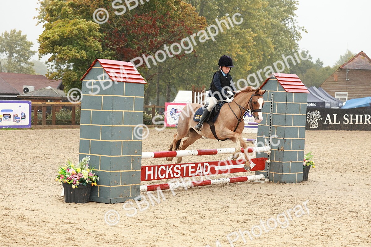 SBM_73345 - Supreme Championship Junior Pony 60cm & 65cm