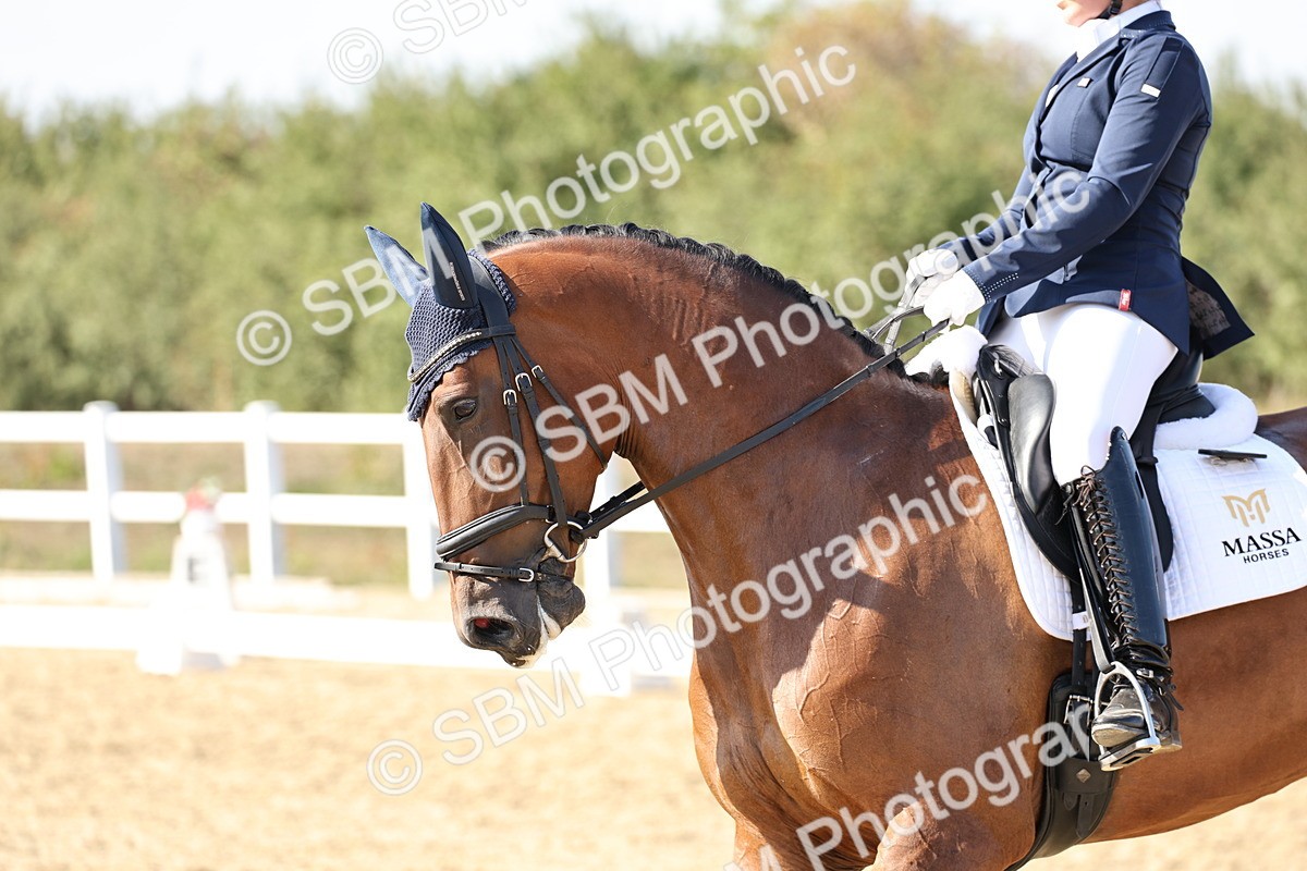 SBM_015296 - Class 9 - Advanced medium 3