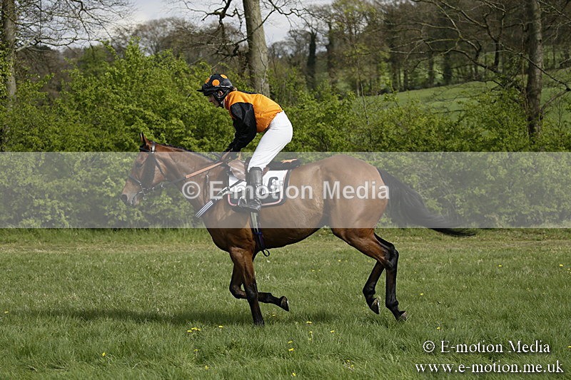 PtP 170417 258 - Old Berks Point-to-Point Lockinge 17/04/17
