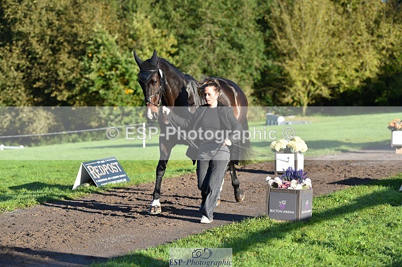 231022-092558-21781 - 632-ANGELL'S.CHOICE-Saffron.Cresswell-TrotUp+SJ