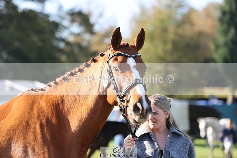 241027-101534-15772 - 512-Elisha.O'Brien-HIGHLIGHT.ROLLER