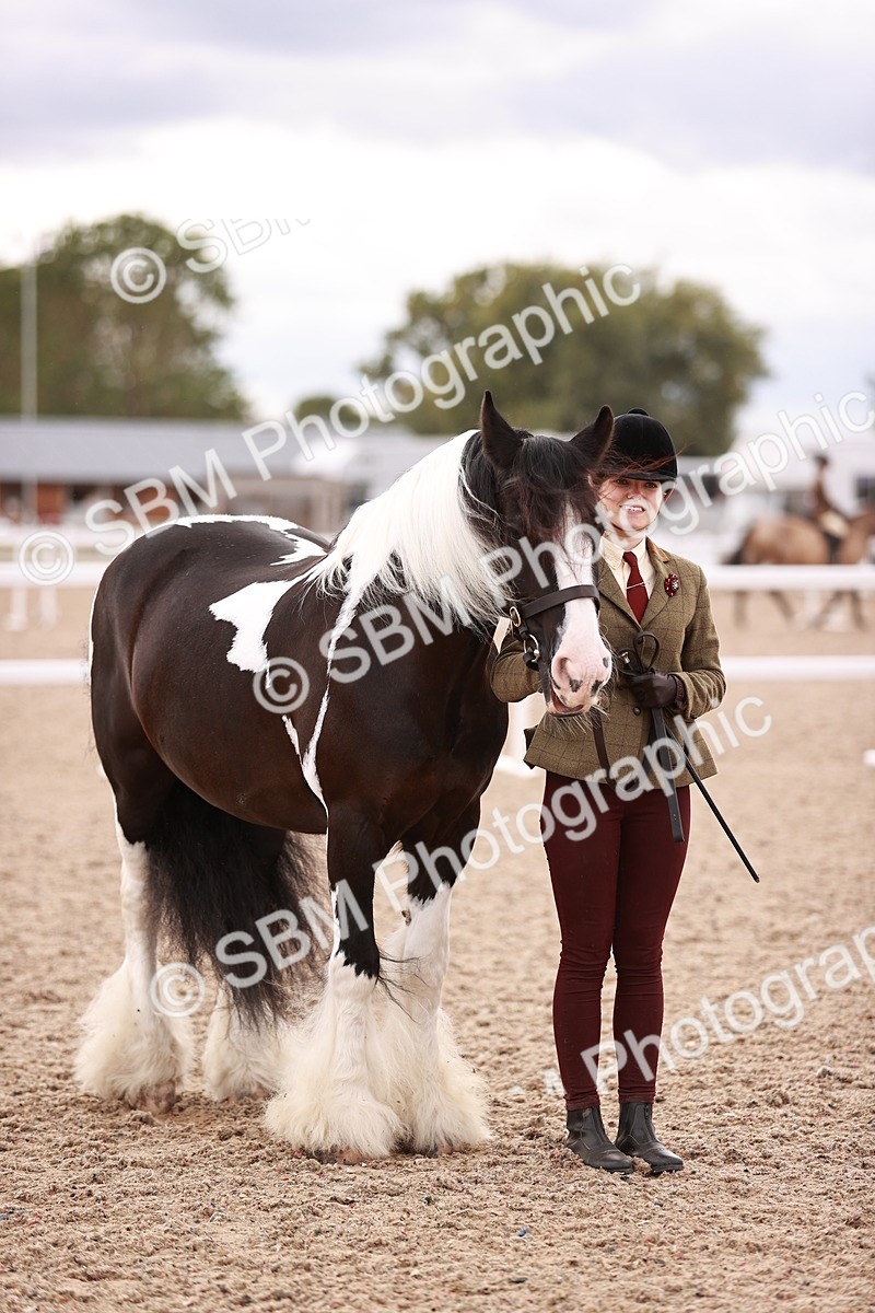 SBM_18431 - Class 419 - Best Maine and Tail - Jnr