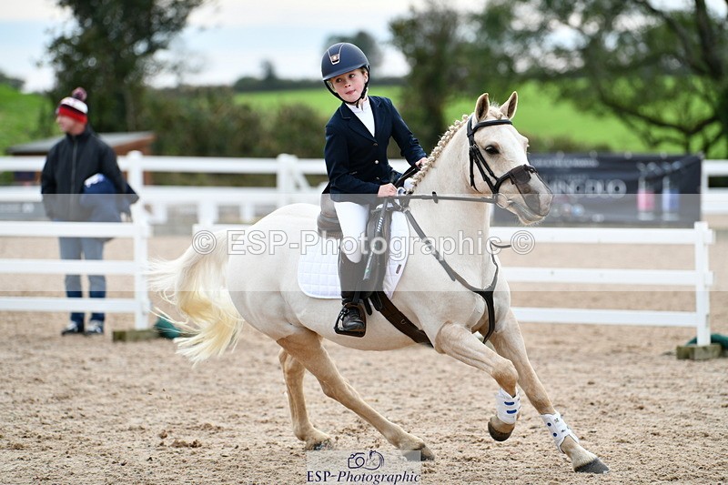 241013B-130910-01193 - Cls 3 50cm