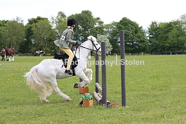 IMG_2534 - Working Hunter
