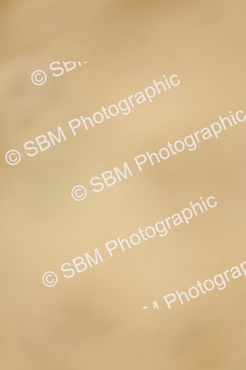 SBM_019492 - Class 21 - jump offs