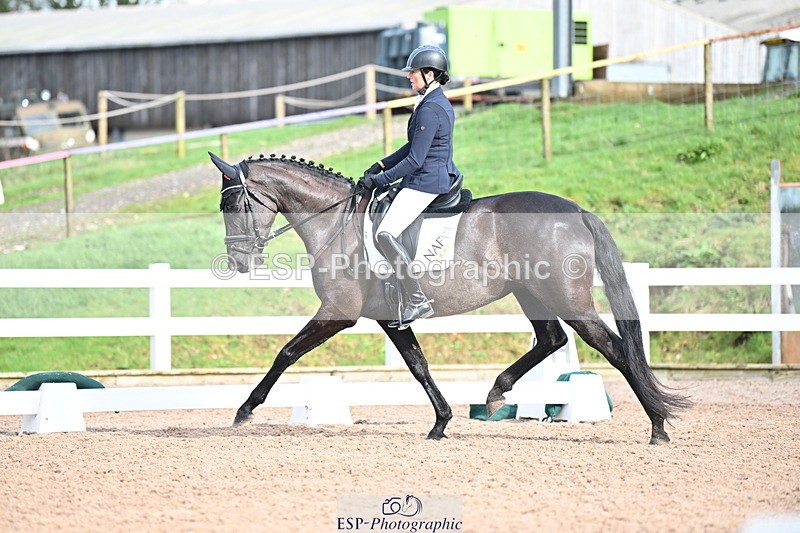 240218A-115633-06917 - 204-Elder.Klatzko-Dynasty.Hit