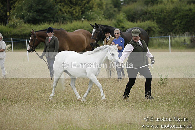 B230619-0537 - Bourne Valley Riding Club Summer Show 23/06/19