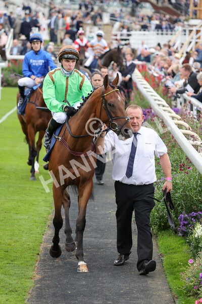 yr24092021r3-1 - Race 3 2.40pm WilliamHill.com Best Odds Guaranteed Stakes