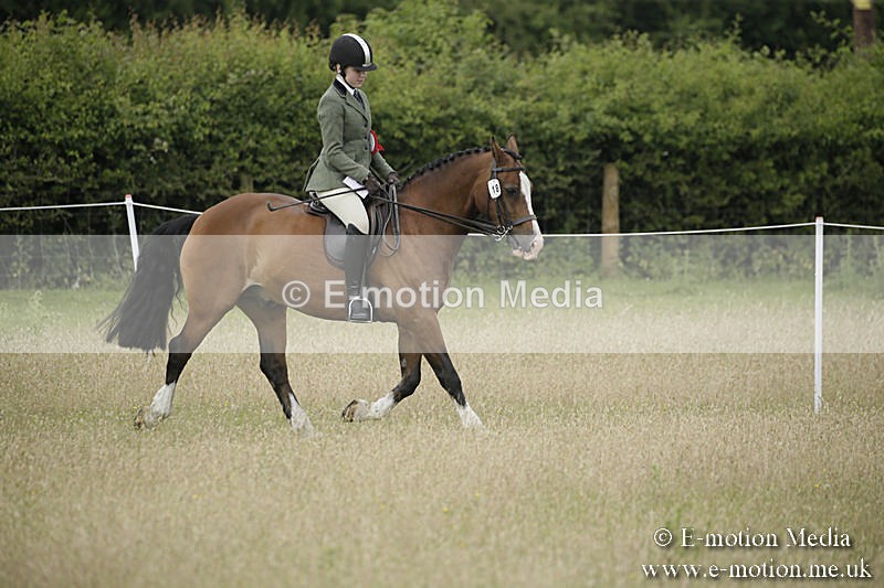 B230619-0360 - Bourne Valley Riding Club Summer Show 23/06/19