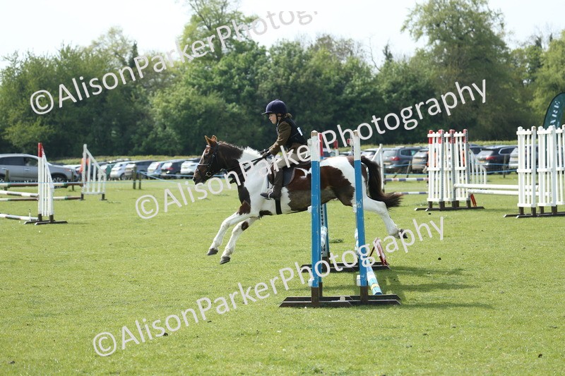 20260426-1590 - Class 14 - Novice 60cm