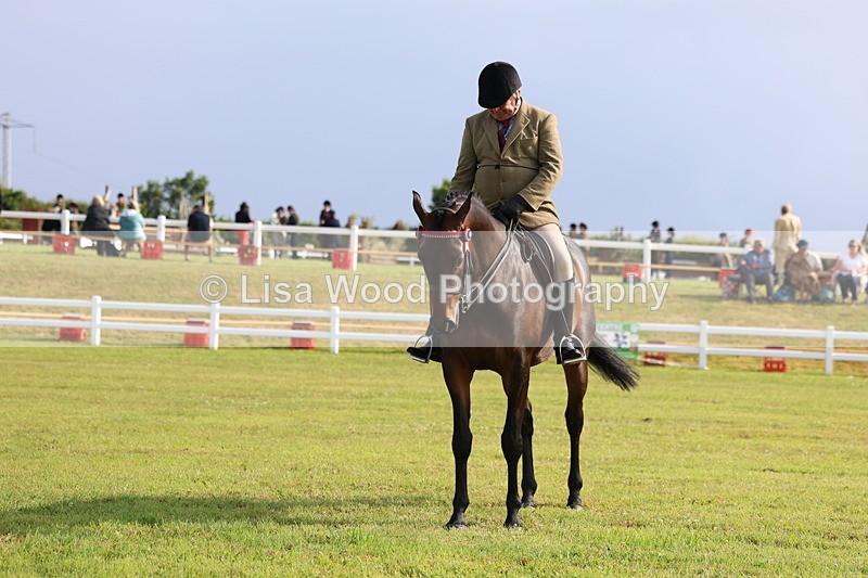 3E7A8205 - Class 2: Rising Star Large Hack/Riding Horse