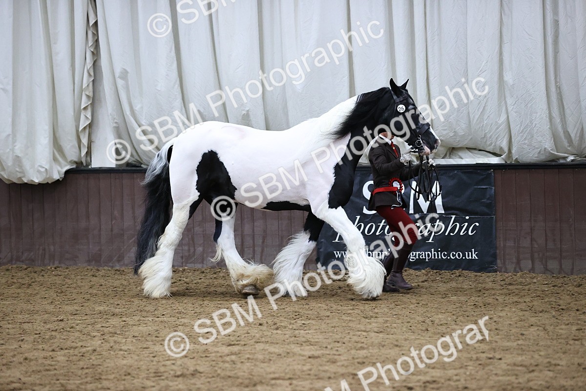 SBM_5703 - Class 40 - RESS In Hand Qualifier