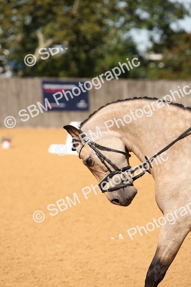 SBM_21705 - D5 - Small Tour Championship - Intro C