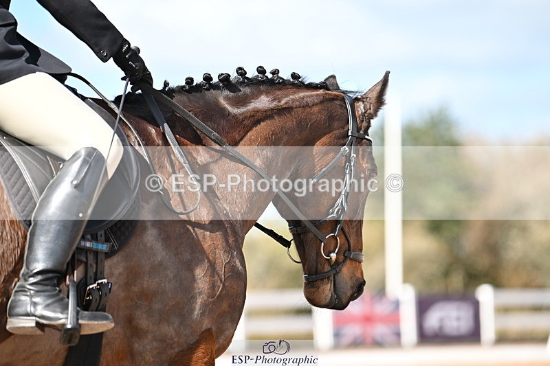 240324A-124033-02346 - Novice 28, 12.15 to 13.00