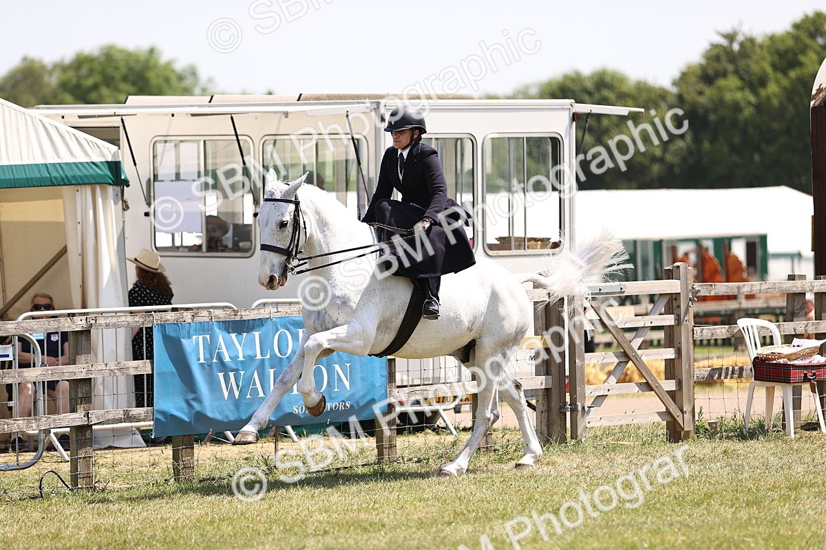 SBM_15101 - Class 79-80 - LIHS BSHA Rising Star Ridden Hunter