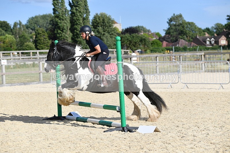 WJ5_5891 - Poles off the floor