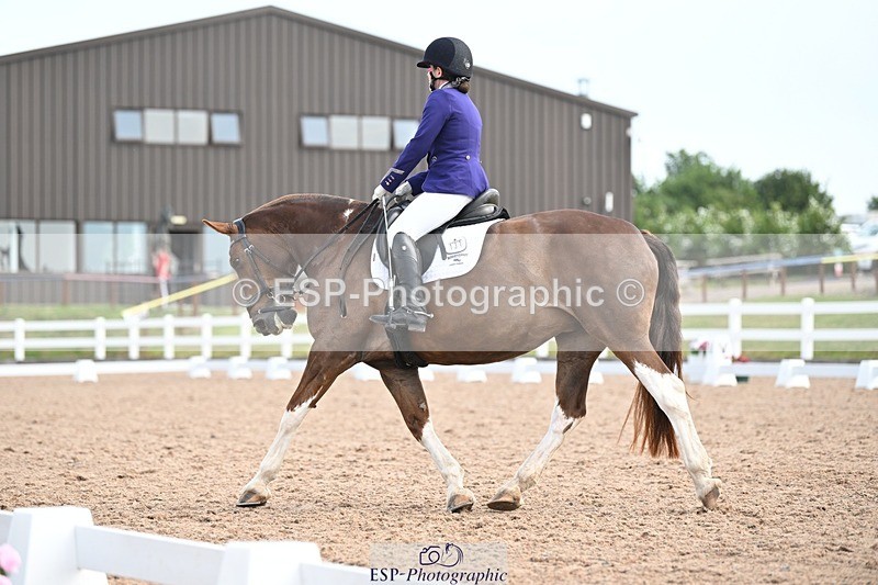 250620-103239-02633 - BD Cls 4 - Novice 5, Start to 11.30am