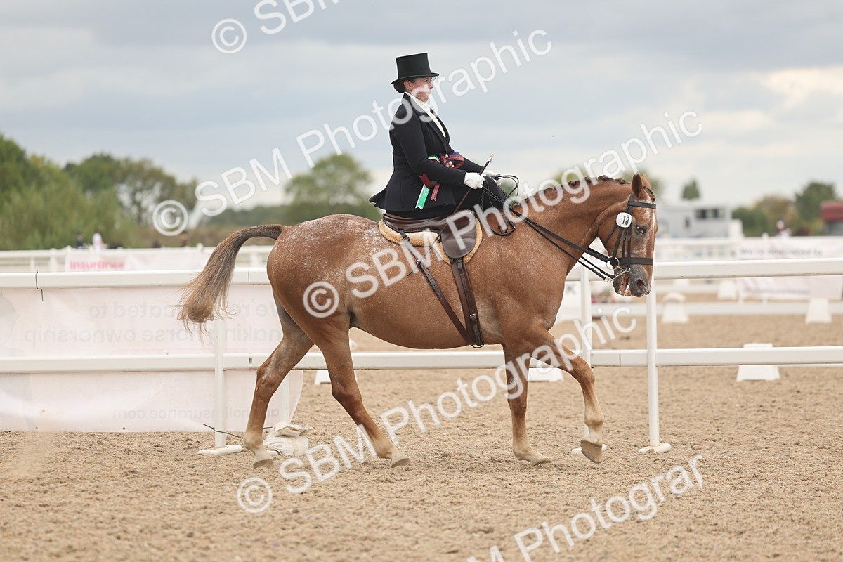 SBM_06402 - Class 23 - SSA - Classical