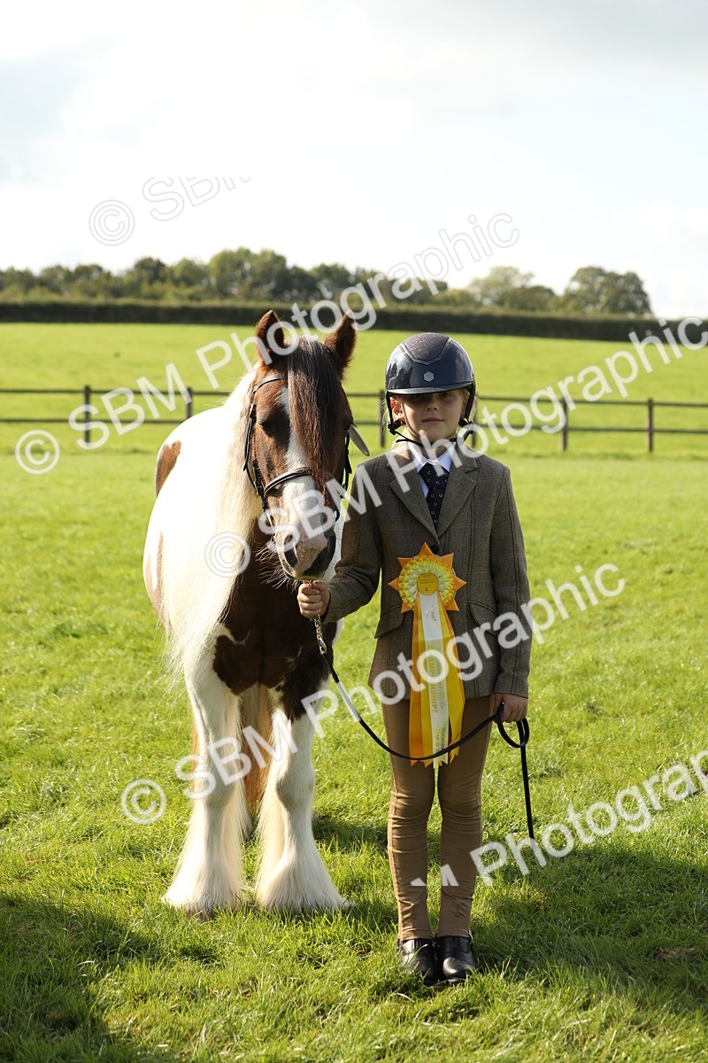SBM_62366 - S45 - Mini Show Cob In Hand
