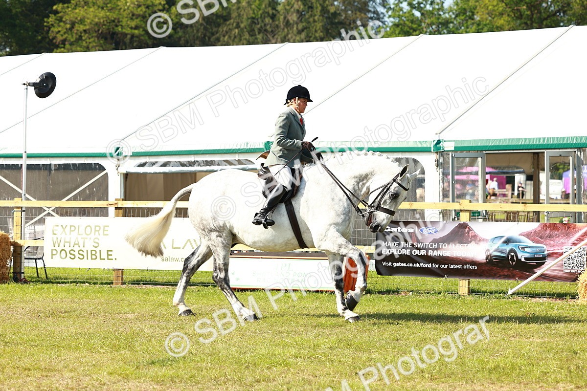 SBM_11764 - Class 66-69 - RIHS Ridden Hunters Inc Small Hunter