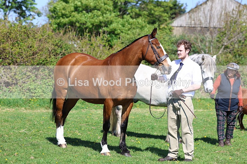 3E7A9465 - Class 16: Best Grass Kept