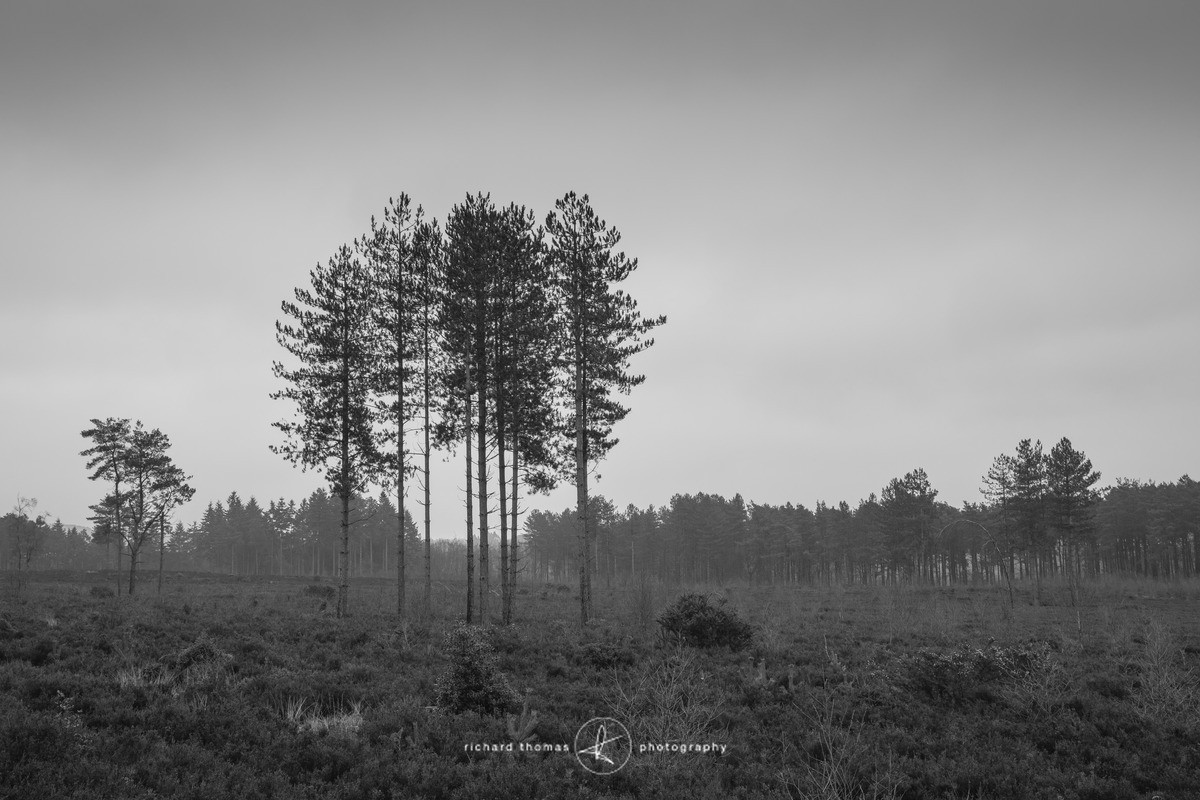 Bottle washers VII - Bottlewashers