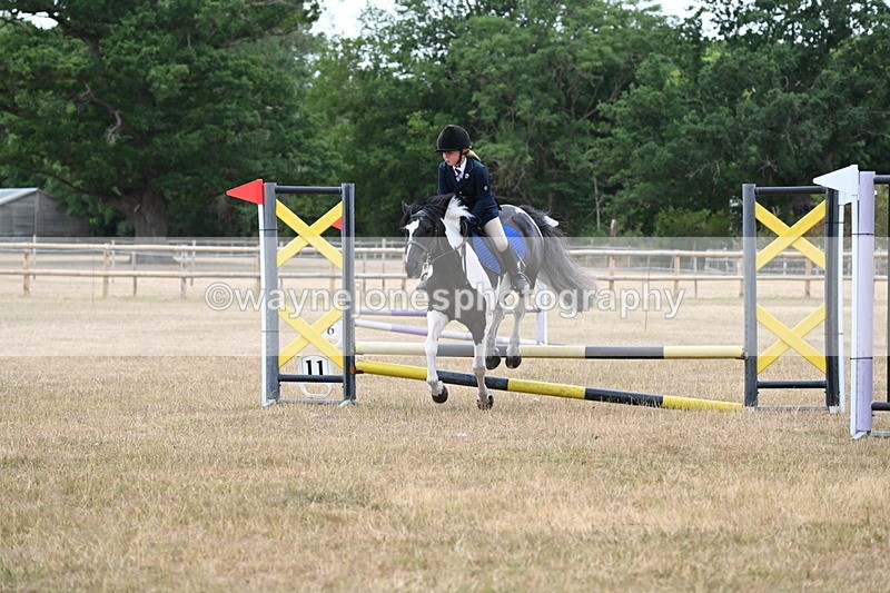 WJ6_9966 - Class 13 Novice Jumping 60cm