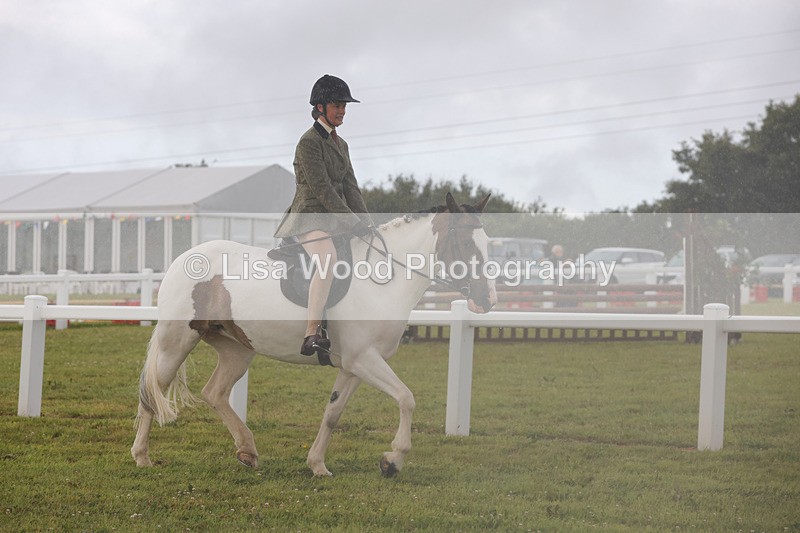 1X9A2996 - Class 26: Ridden Plaited Coloured Pony