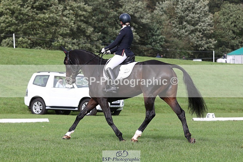 231019-123502-03694 - 632-ANGELL'S.CHOICE-Saffron.Cresswell-DR