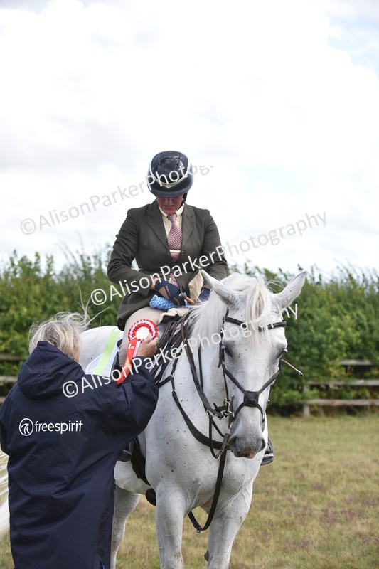 20250831-4133 - Class 13 - Working Hunter Horse or Pony