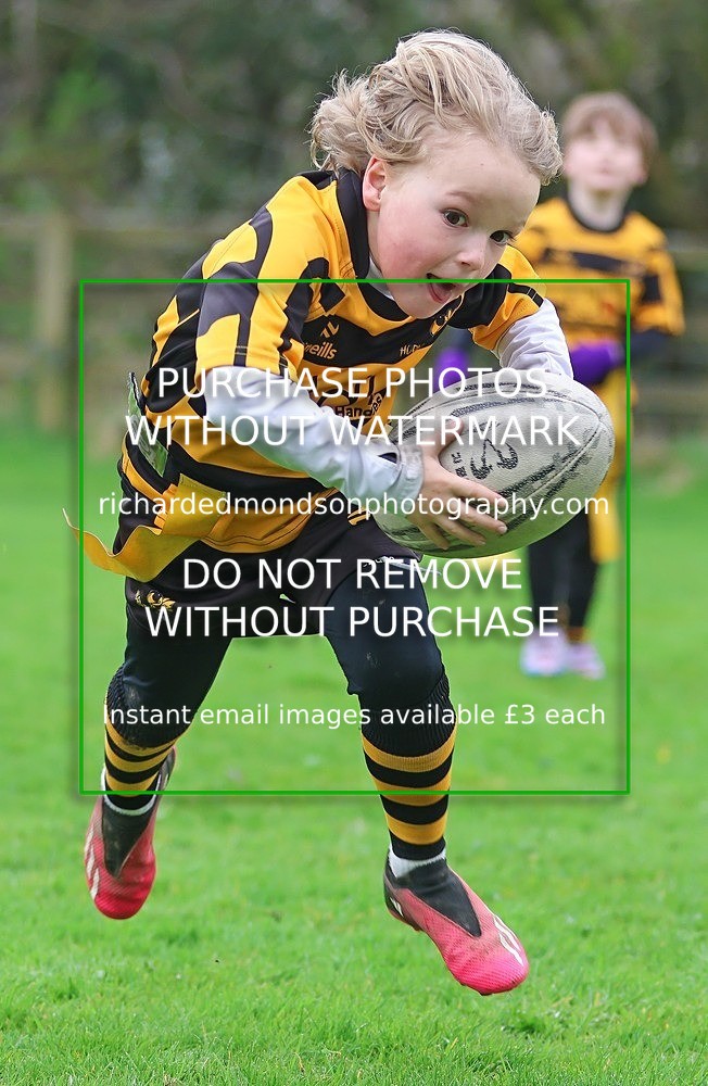 533A4945 - Kendal Rugby Under 7's (12/4/26)