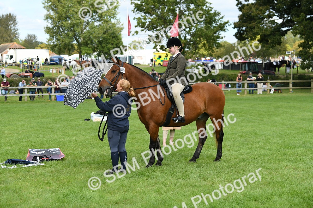 SBM_46872 - S12 - Family Horse & Pony