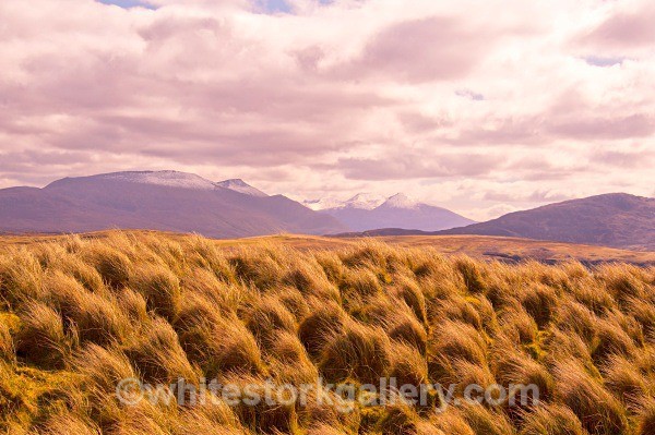 Grasses and Mountains at Faraid Head - Scottish Highlands