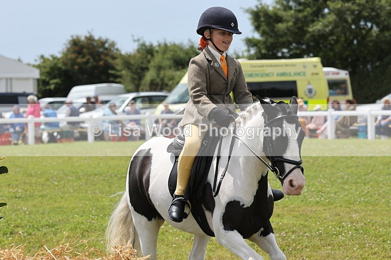 JPP_1964 - Class 18: Tiny Tots Working Hunter Pony