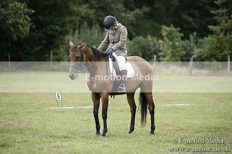 BVR080918 217 - BVRC Novice Dressage & CR 08/09/18