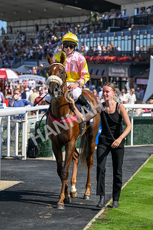 130826-Race 3-State Of Gold-8804 - Race 3 15.15pm Hornsea Ladies At The Races Nursery Handicap