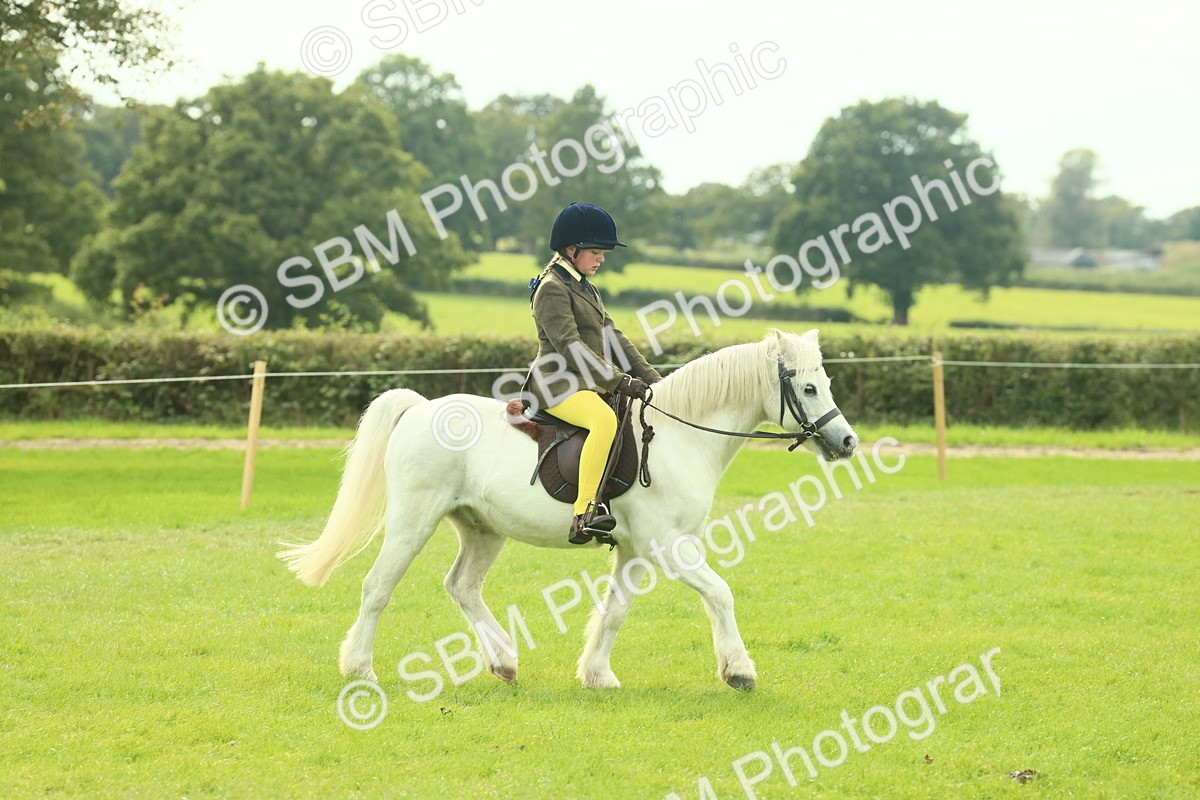 SBM_69810 - S59 - Mountain & Moorland Ridden Small Breeds