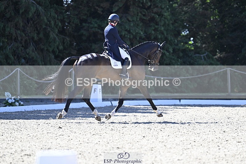 250522A-101138-02626 - B-310-Kitty.King-LISCARROW.FERNHILL