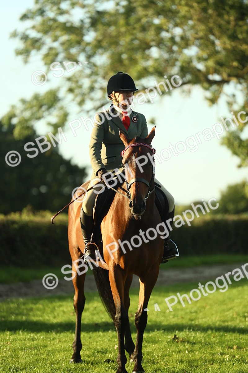 SBM_55551 - S14 - Riding Club Horse