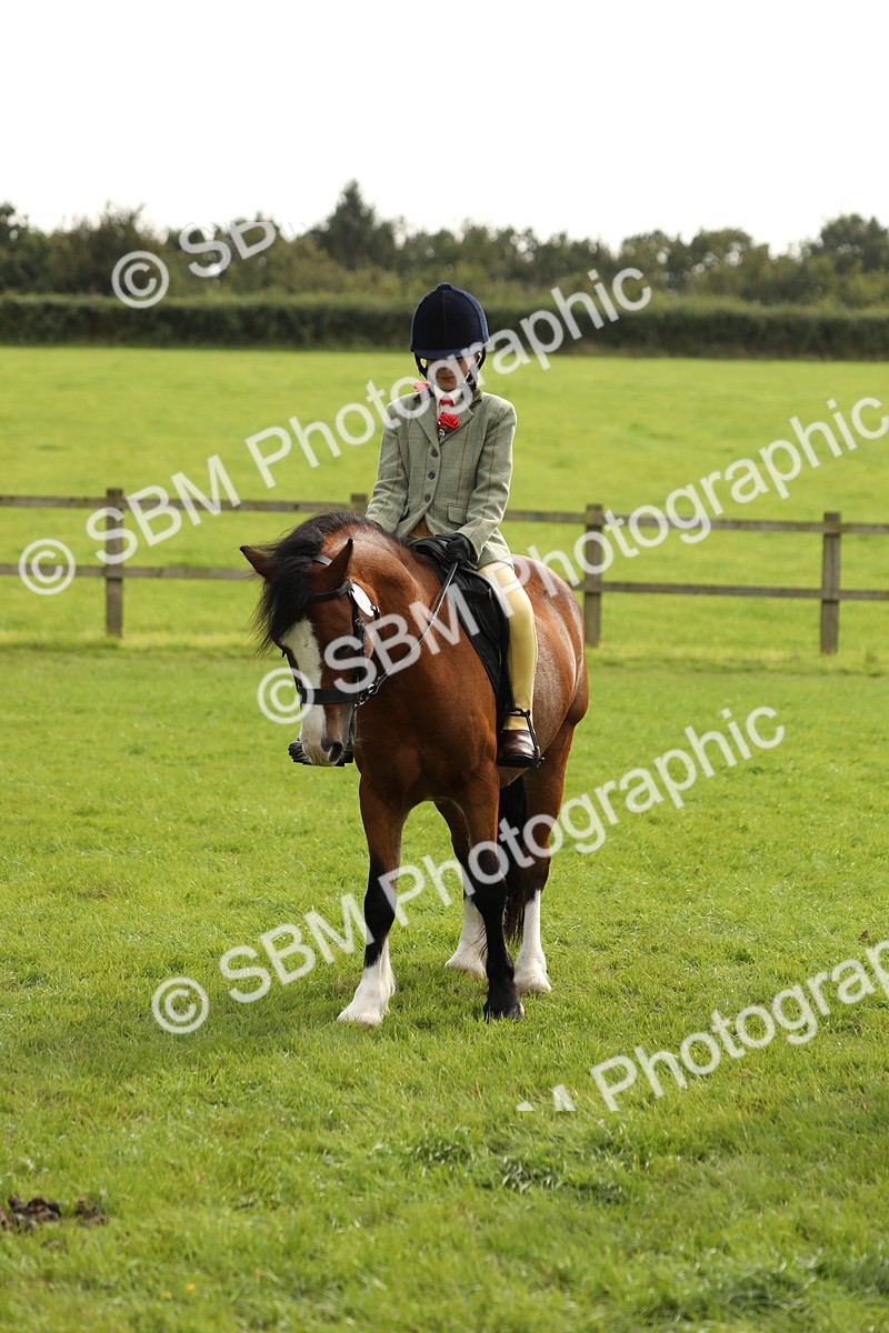 SBM_71519 - S41 - Ridden Equitation (Best Rider)