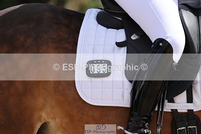 250809A-145221-04109 - 095-Alison.CrimpCrwys.Beau