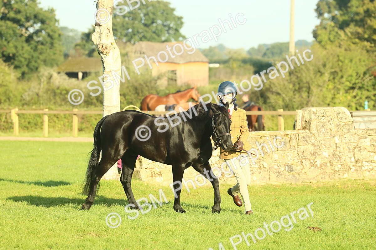 SBM_57439 - S37 - Starters In Hand Showing