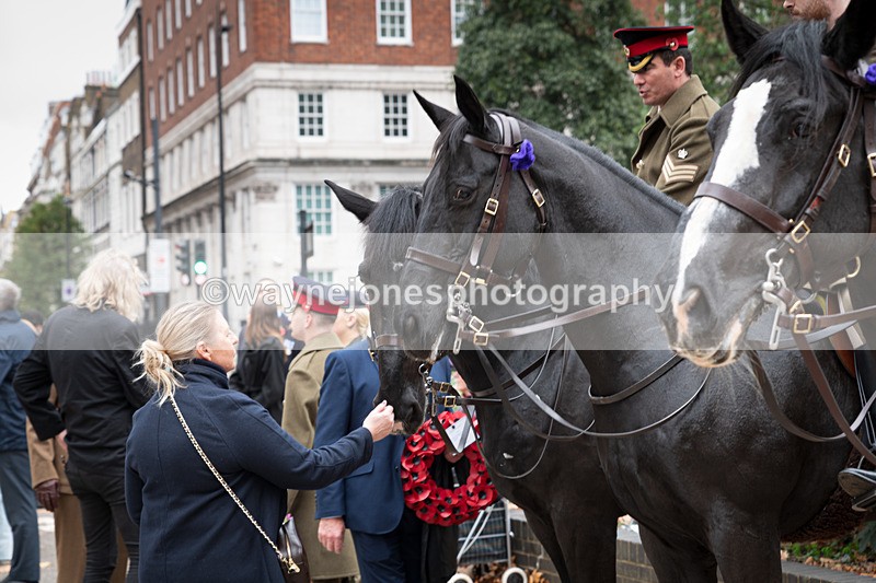 Z62_4457 - Animals In War Memorial 2025 - Park Lane, London