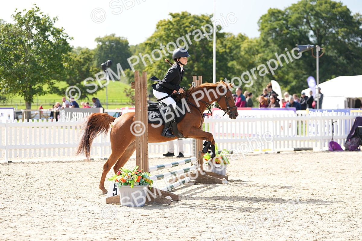 SBM_18119 - J58 - Clear Round 50cm