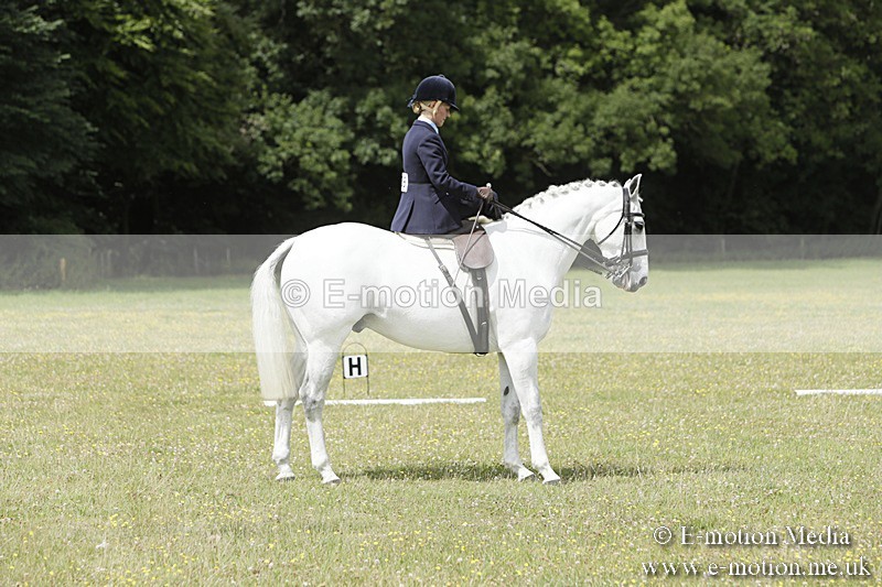 BVR160717-2064 - Class 4 & 5 Dressage 16/07/17