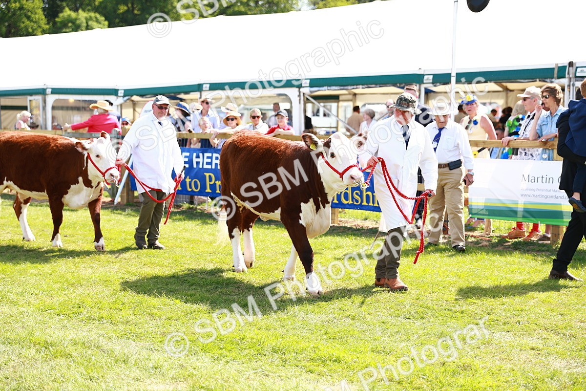 SBM_08450 - Grand Parade