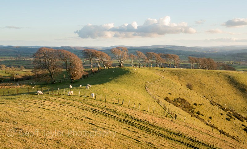 Linley Hill - Stiperstones
