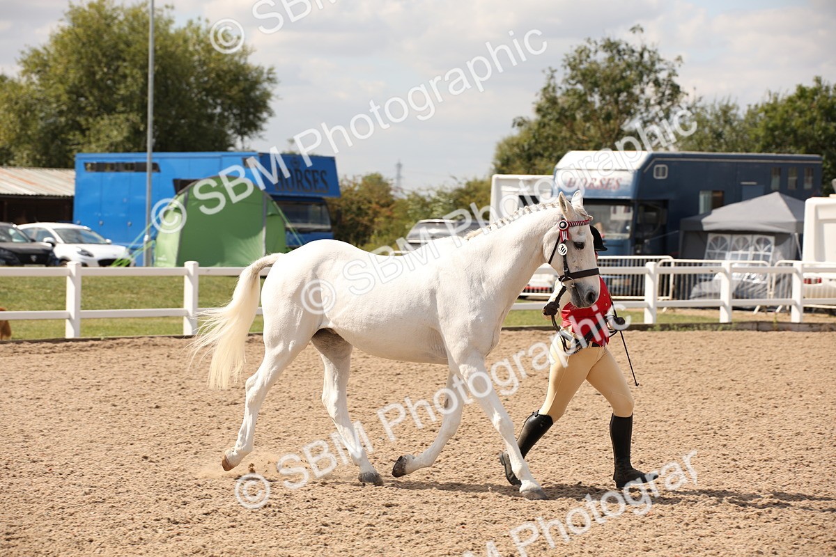 SBM_04559 - Class 20 IH Veteran