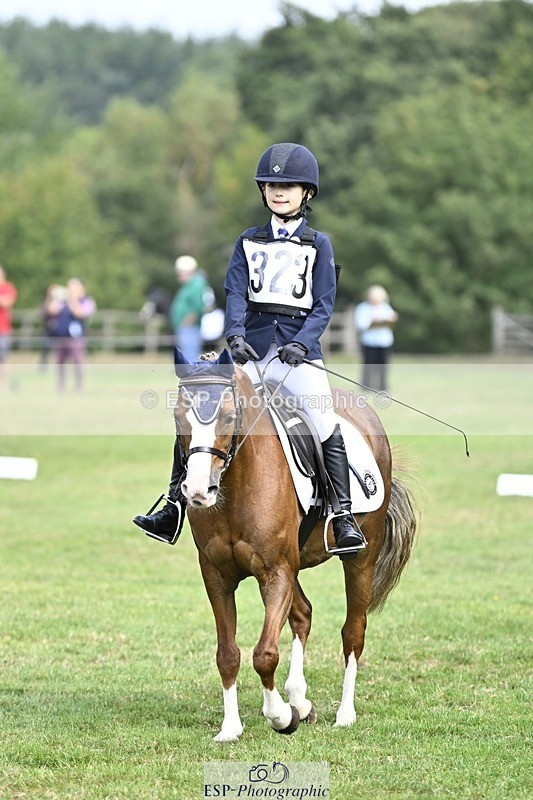 250821A-104124-14475 - DR 10.00 to 11.00