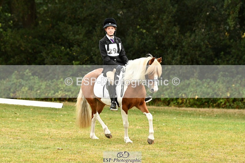 250820A-114708-05282 - 11am to 12